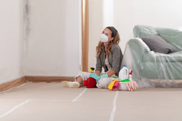 Reliable Mold Cleanup contractor in Danville, KY by WQB Mold Removal